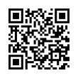 QR Code (код быстрого отклика)