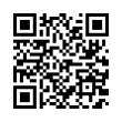 QR Code (код быстрого отклика)