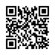 QR Code (код быстрого отклика)