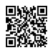 QR Code (код быстрого отклика)