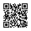 QR Code (код быстрого отклика)