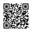 QR Code (код быстрого отклика)