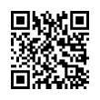 QR Code (код быстрого отклика)