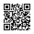 QR Code (код быстрого отклика)