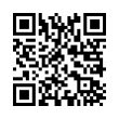 QR Code (код быстрого отклика)