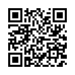 QR Code (код быстрого отклика)