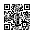 QR Code (код быстрого отклика)