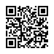 QR Code (код быстрого отклика)