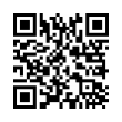 QR Code (код быстрого отклика)