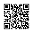 QR Code (код быстрого отклика)