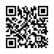 QR Code (код быстрого отклика)