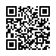 QR Code (код быстрого отклика)