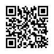 QR Code (код быстрого отклика)