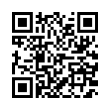 QR Code (код быстрого отклика)