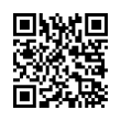 QR Code (код быстрого отклика)