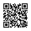 QR Code (код быстрого отклика)