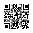 QR Code (код быстрого отклика)