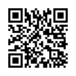 QR Code (код быстрого отклика)