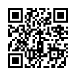 QR Code (код быстрого отклика)