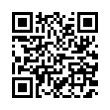 QR Code (код быстрого отклика)