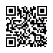 QR Code (код быстрого отклика)