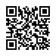 QR Code (код быстрого отклика)