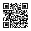 QR Code (код быстрого отклика)