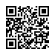 QR Code (код быстрого отклика)