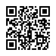 QR Code (код быстрого отклика)